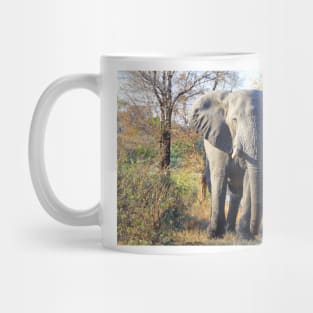 African Elephant Up Close Mug